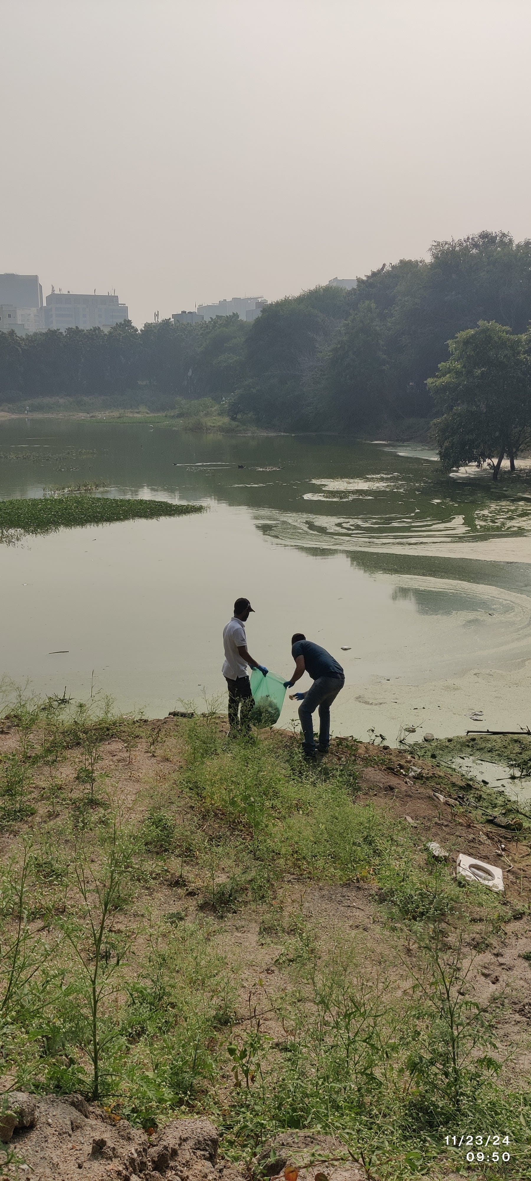 Rural Lake Restoration