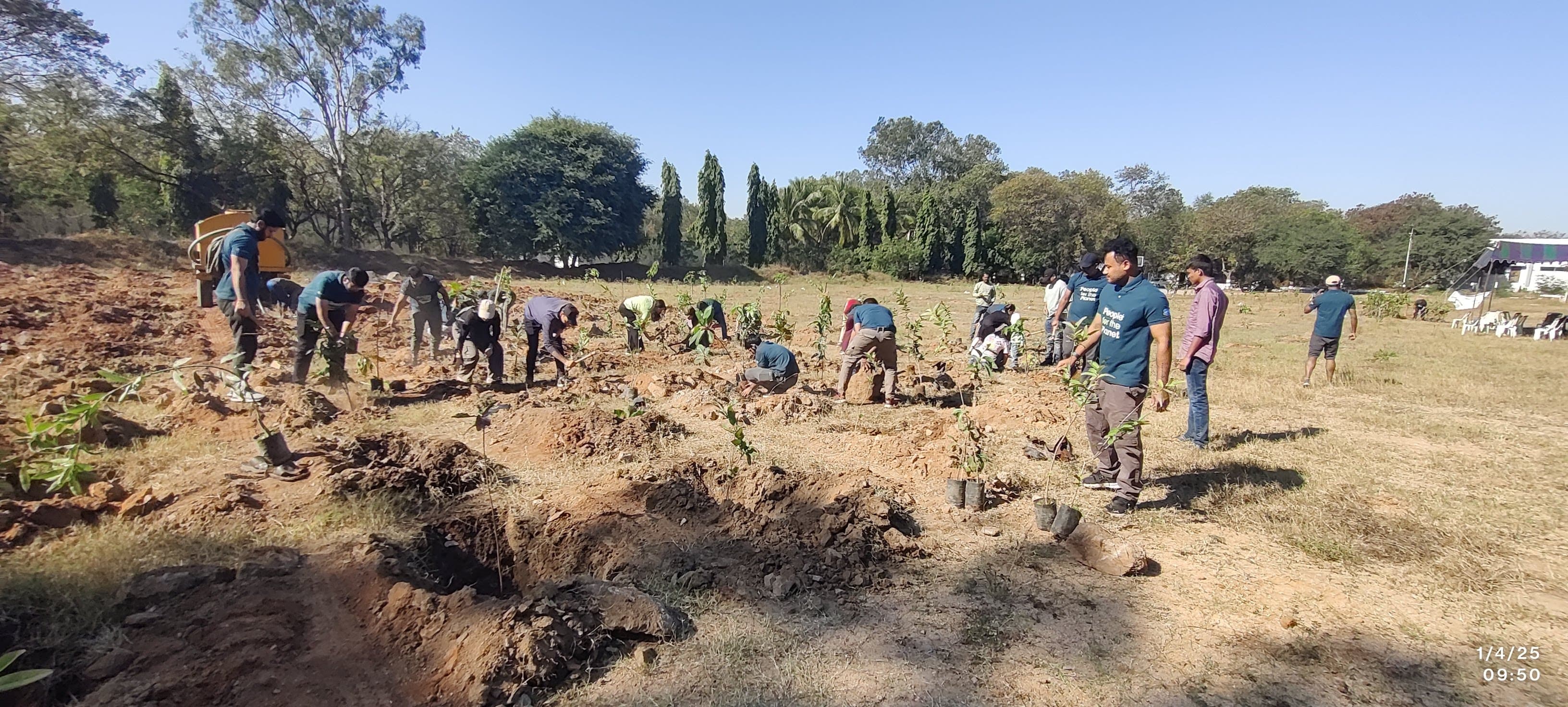 Plantation Drive