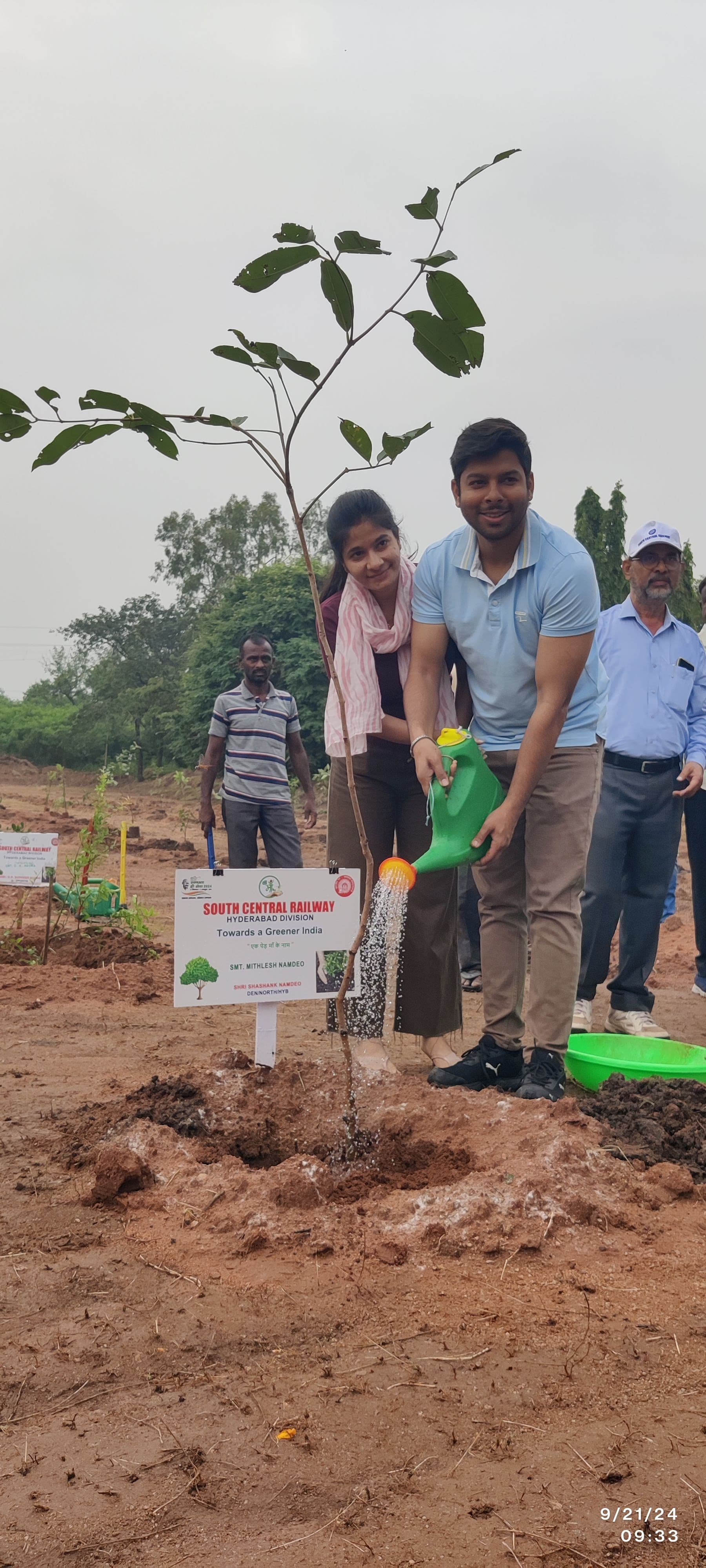 Dense Plantation — Native Saplings