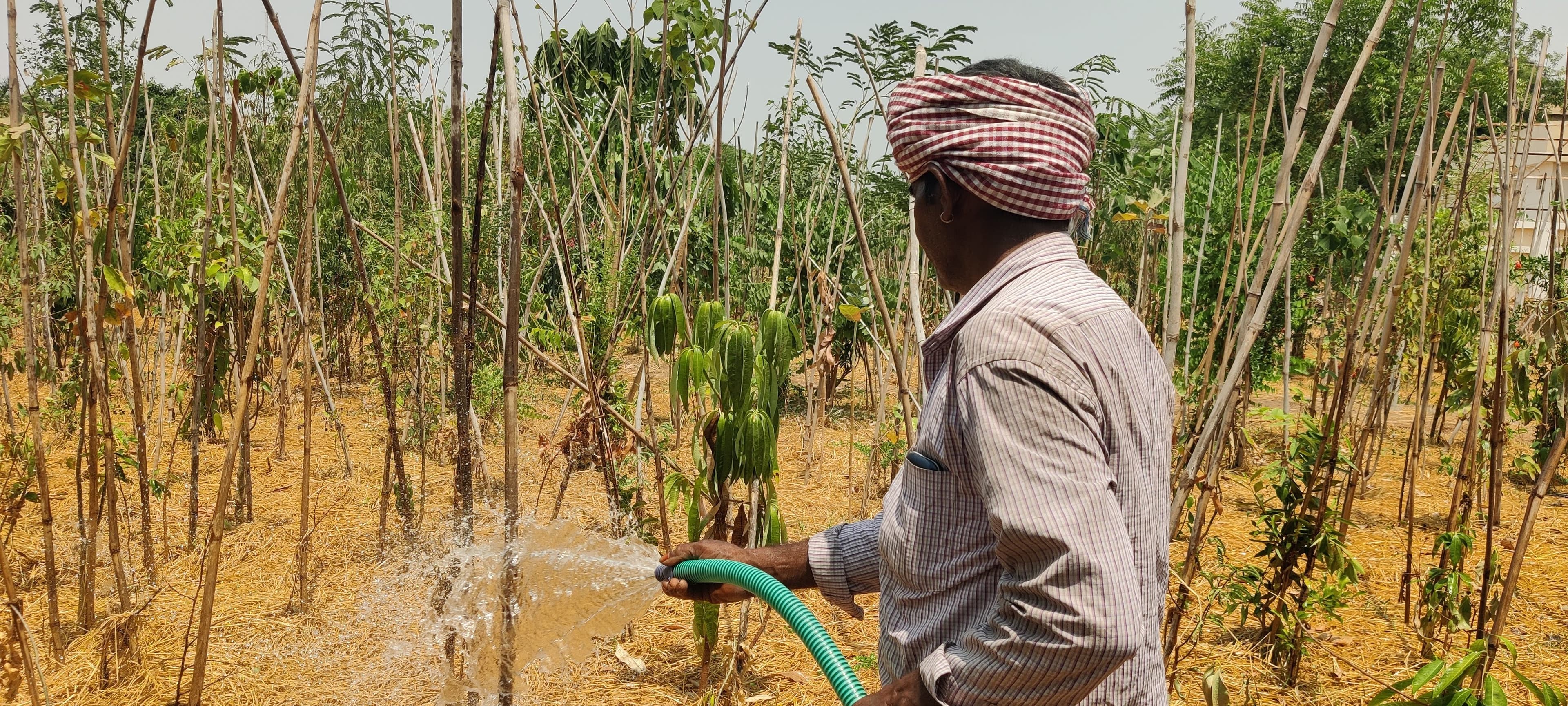 Community Watering